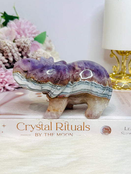 Amethyst X Mexican Lace Agate Elephant 11cm 367g