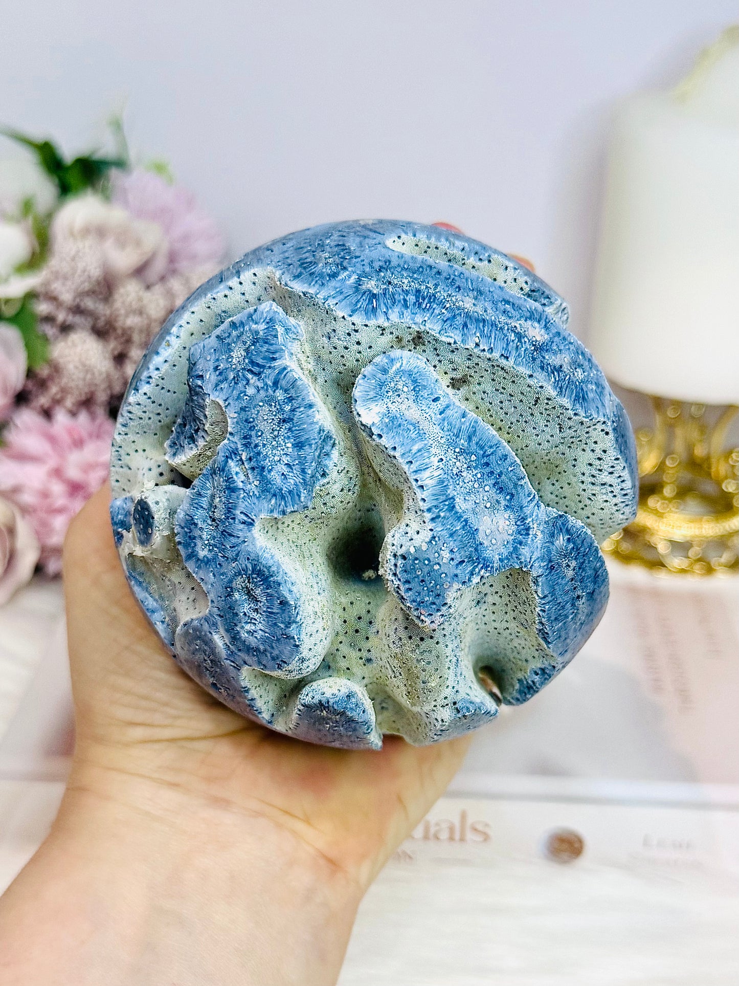 Rare Natural Large Blue Coral Fossil Sphere 732g