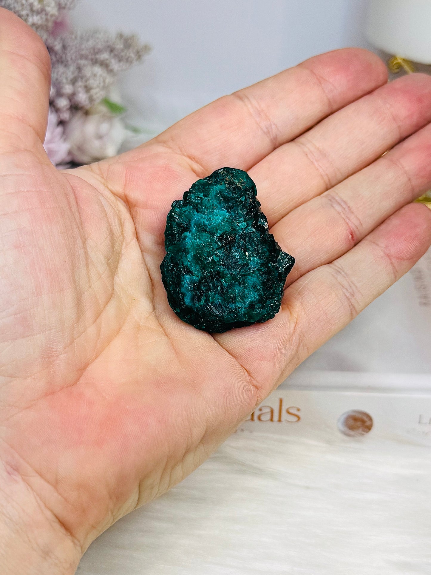 Rare Green Dioptase Specimen On Stand 4cm