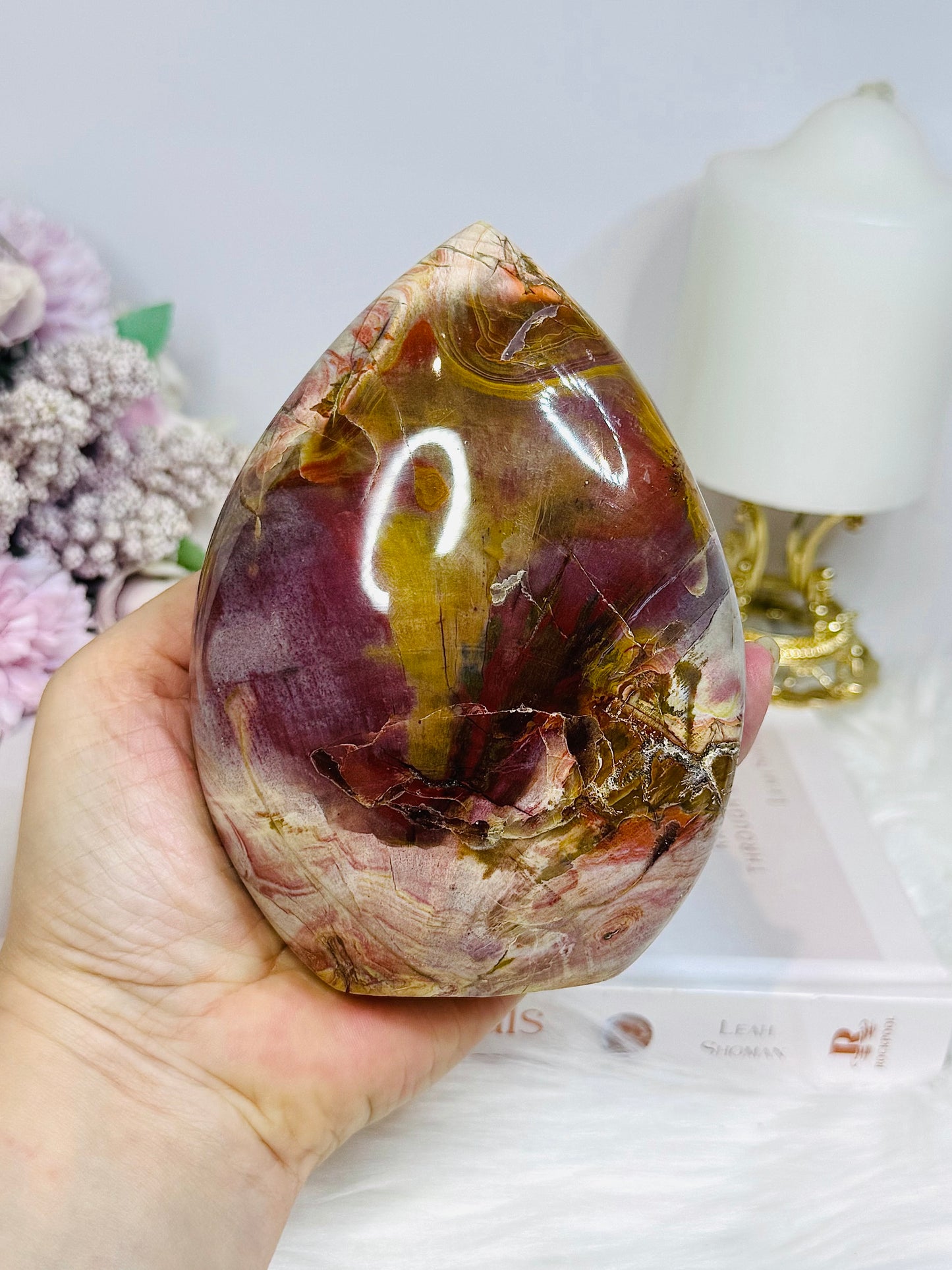 Large Petrified Wood Freeform 13cm 692g