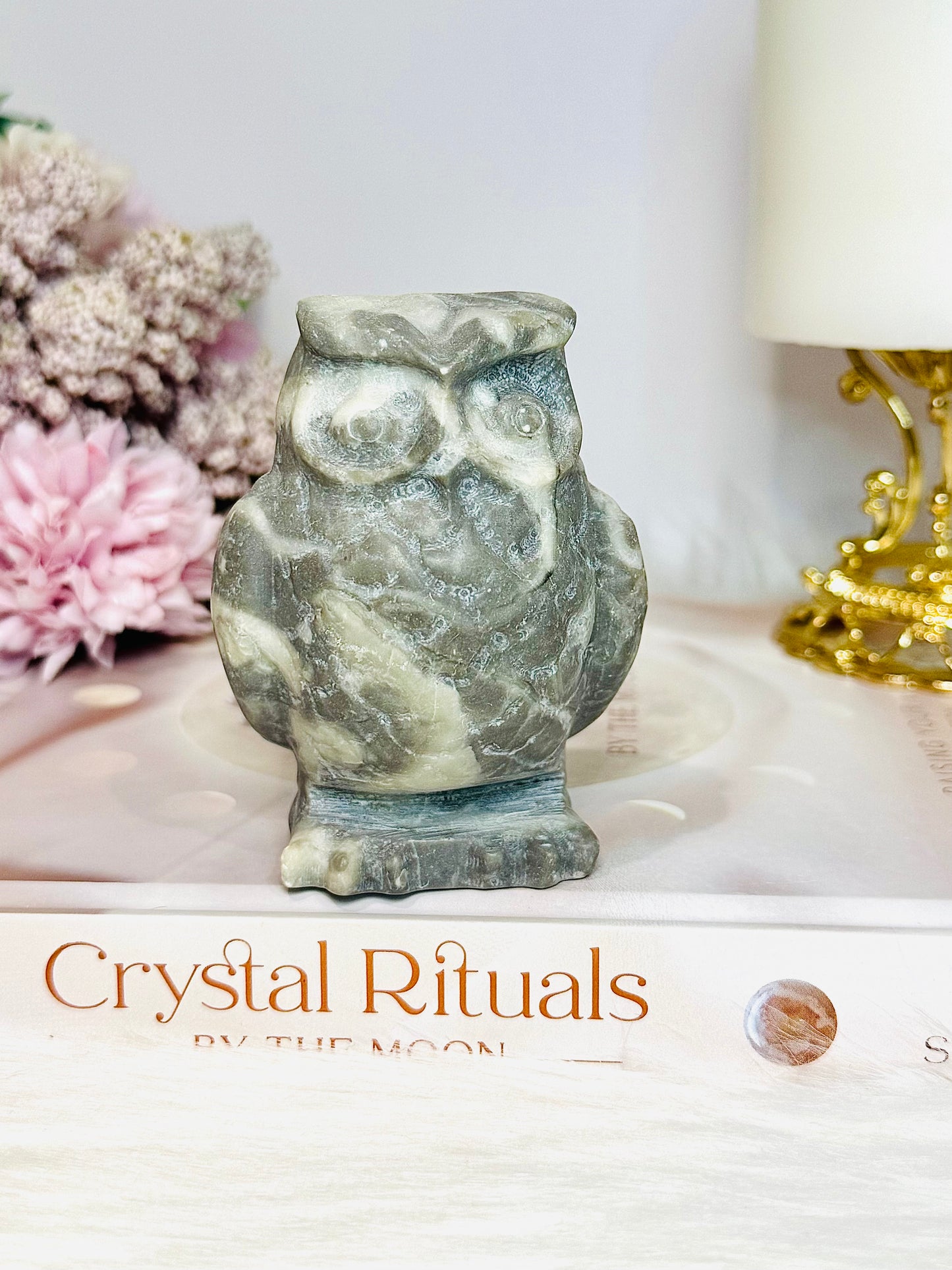 Shell Fossil Stone Jasper Owl 8.5cm 318g