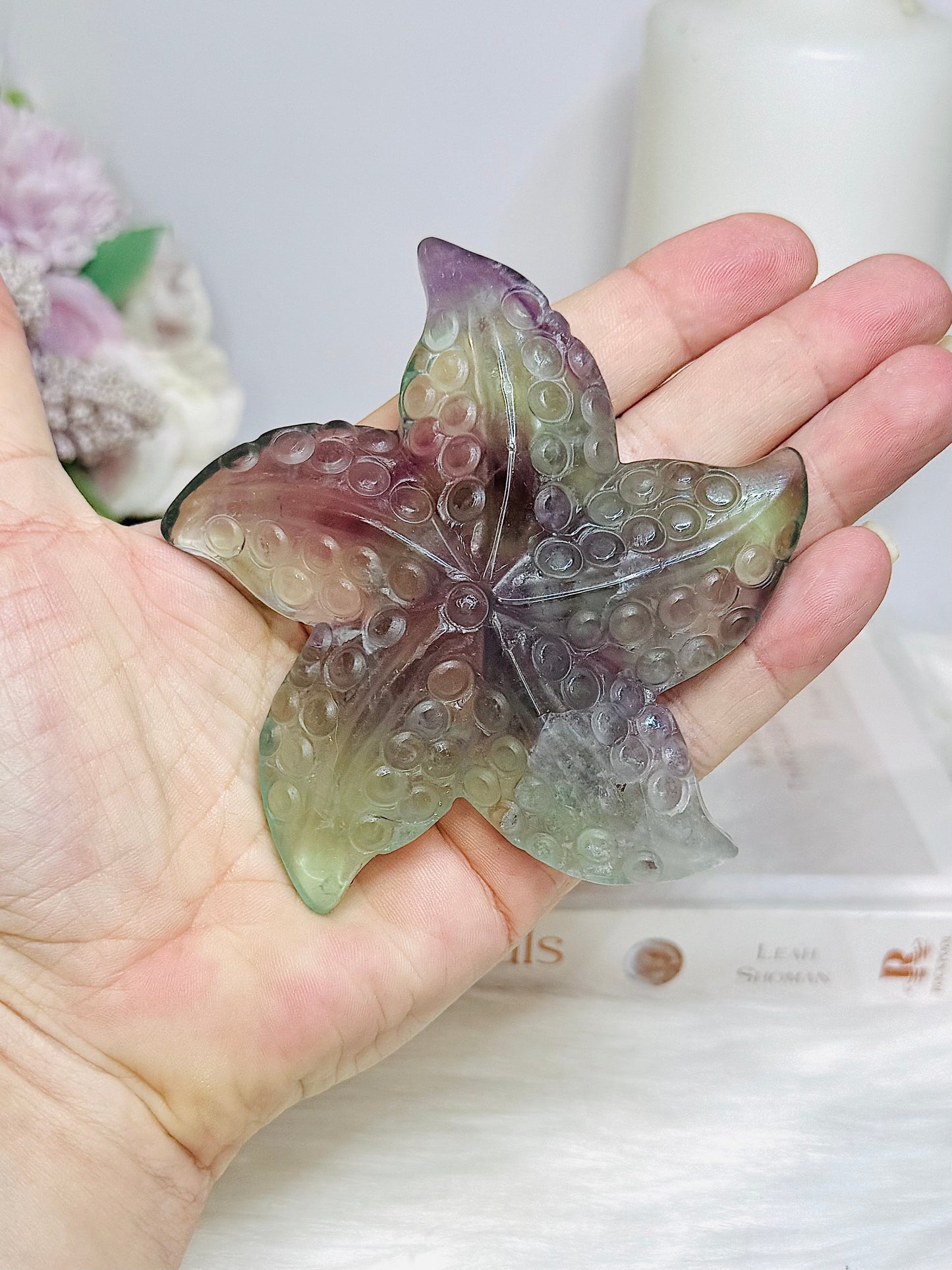 Fluorite Star Fish On Stand 9cm
