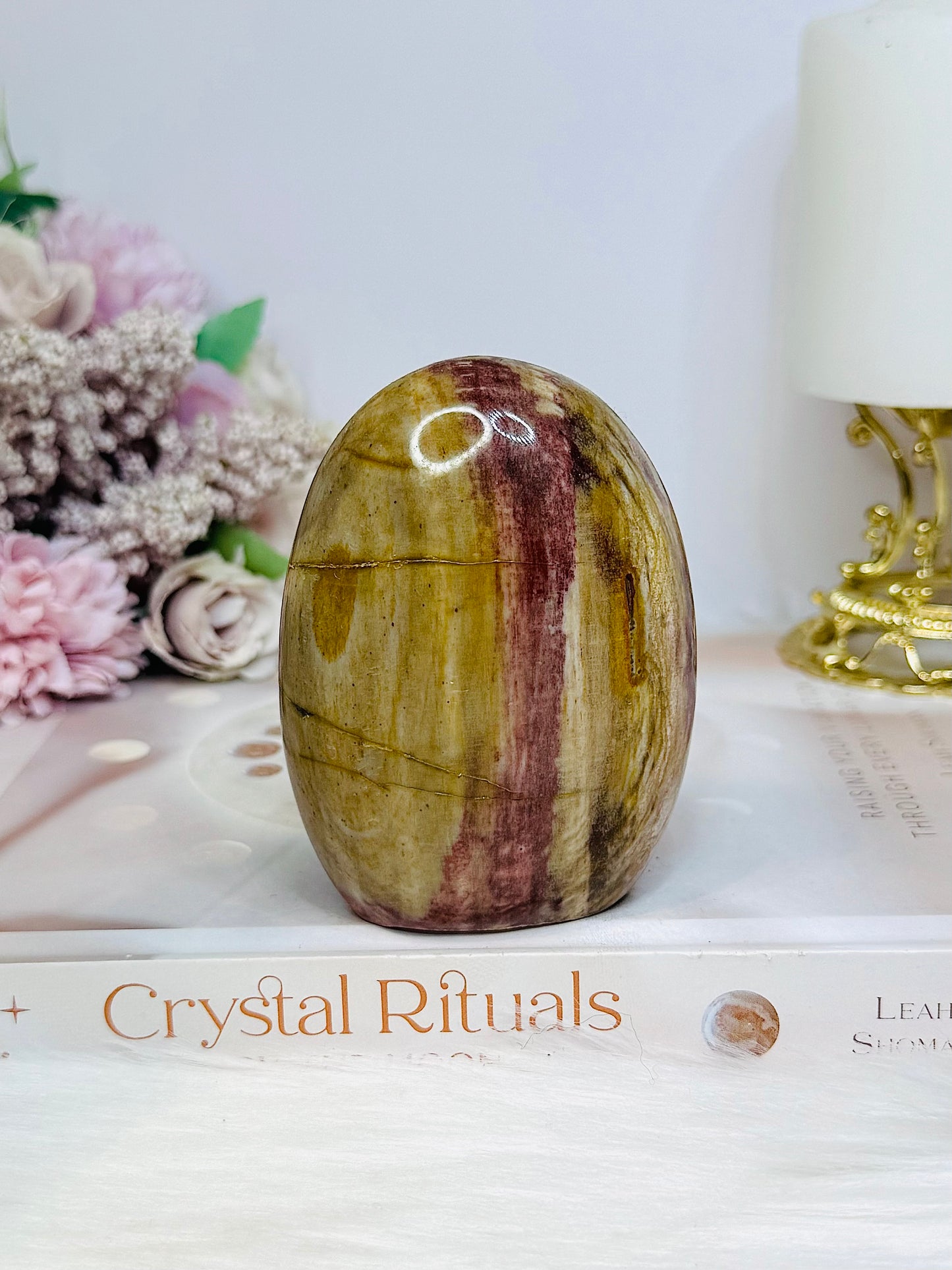 Petrified Wood Freeform 8.5cm 363g