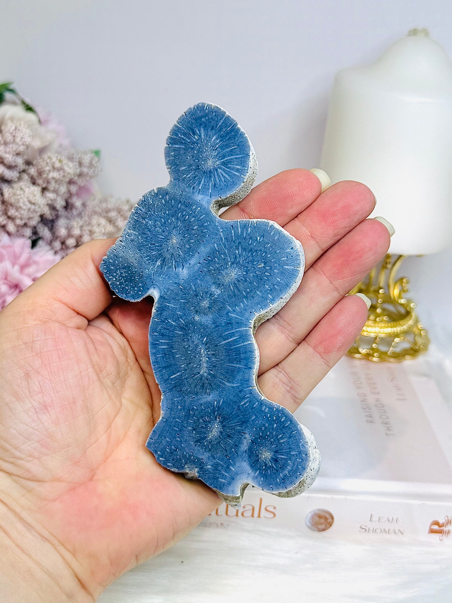 Blue Coral Fossil Slab Specimen 13.5cm On Stand