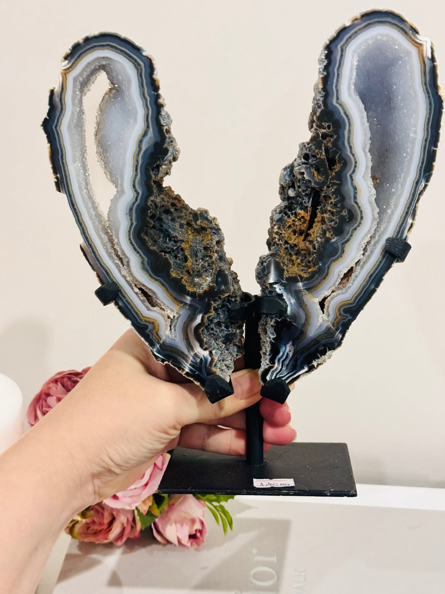 High Grade Uniquely Fabulous Large 24.5cm 1.6KG Sparkling Druzy Blue Agate Chunky Wings On Stand From Brazil