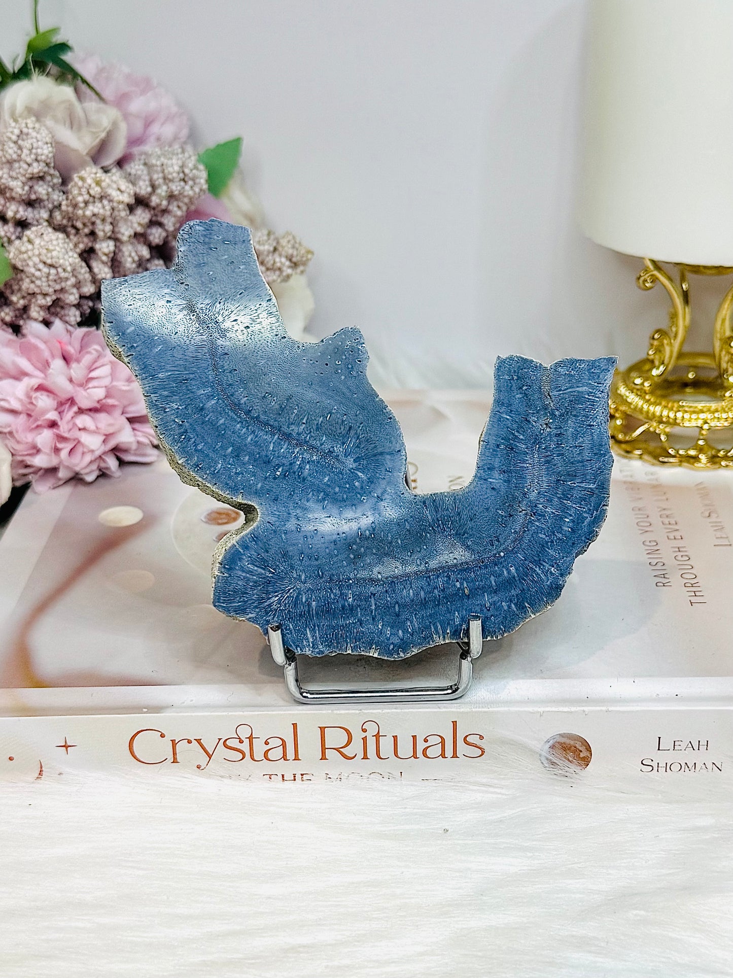 Blue Coral Fossil Specimen Slab on Stand 11.5cm
