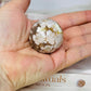 Flower Agate Sphere On Stand 74g