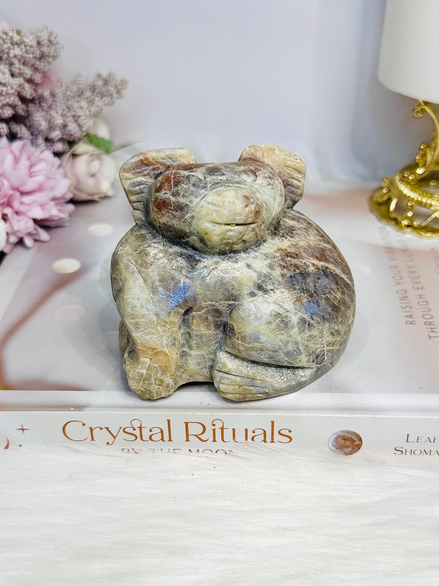 Moonstone Koala Bear with Blue Flash 473g