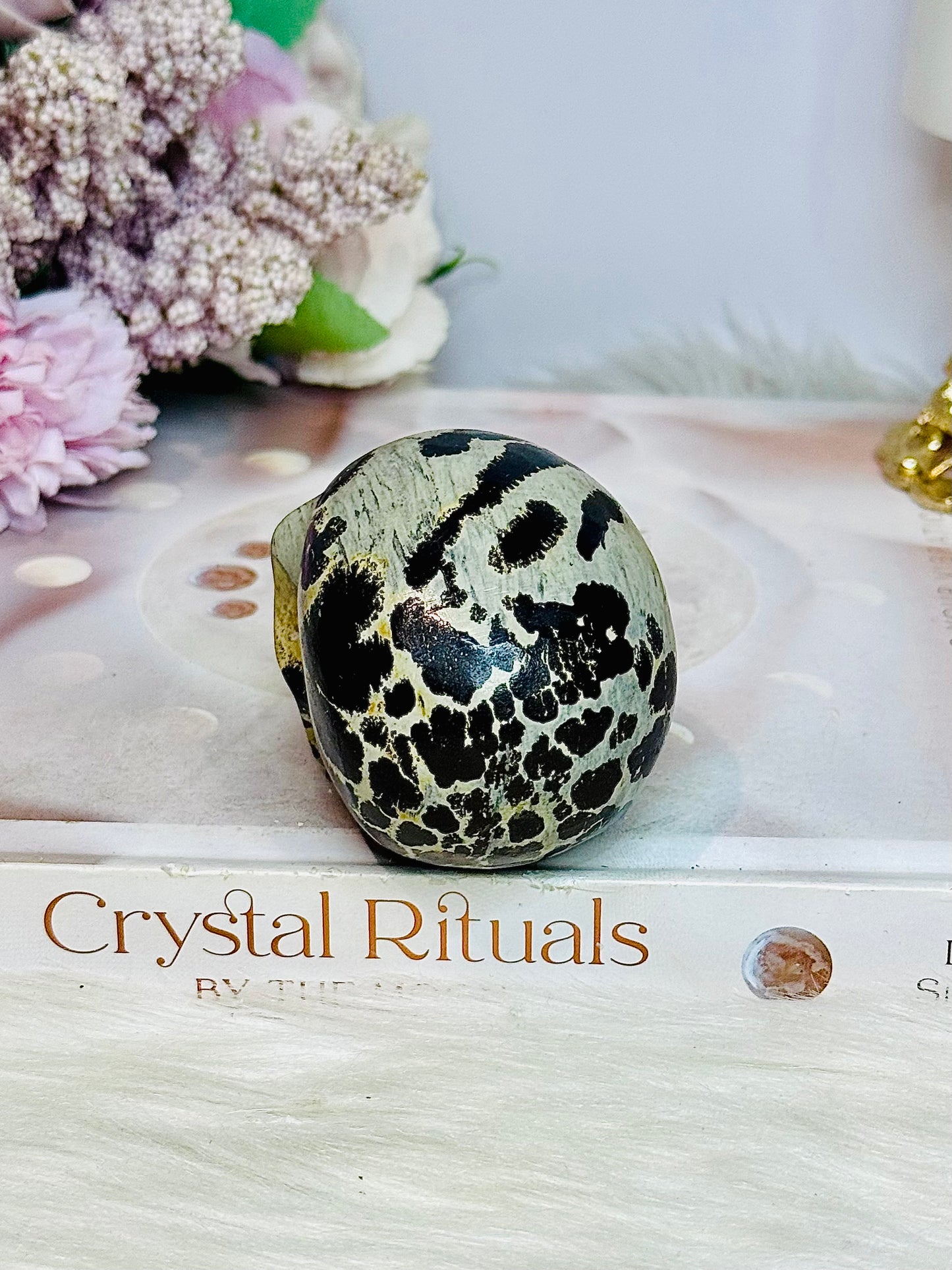 Picture Jasper Carved Skull 6.5cm 205g