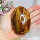 Petrified Wood Chunky Freeform 8.5cm
