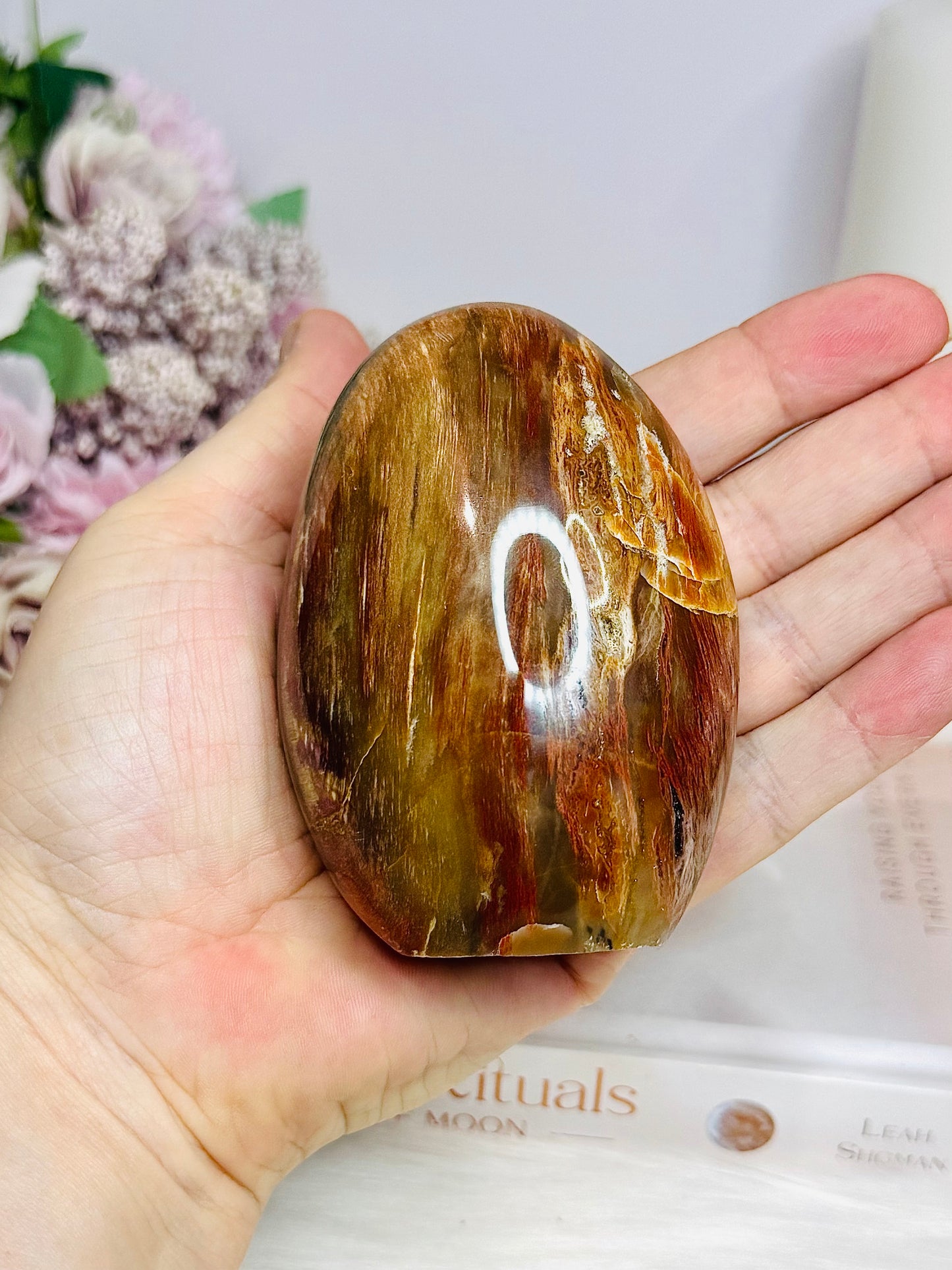 Petrified Wood Chunky Freeform 8.5cm