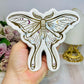Luna Moth Trinket Dish 14cm