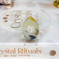 Dentrictic Agate Cabochon (stand is display only)