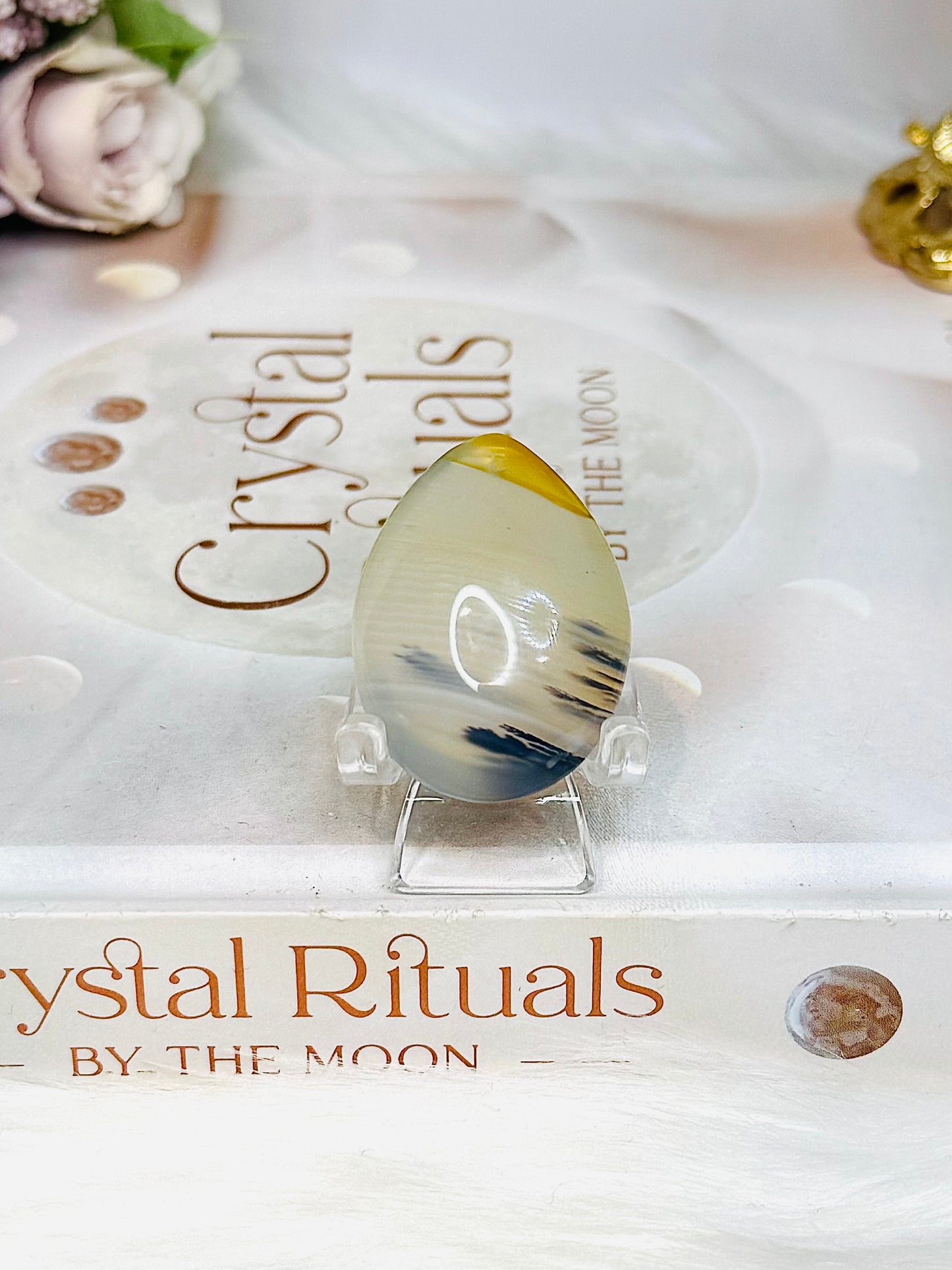 Dentrictic Agate Cabochon (stand is display only)