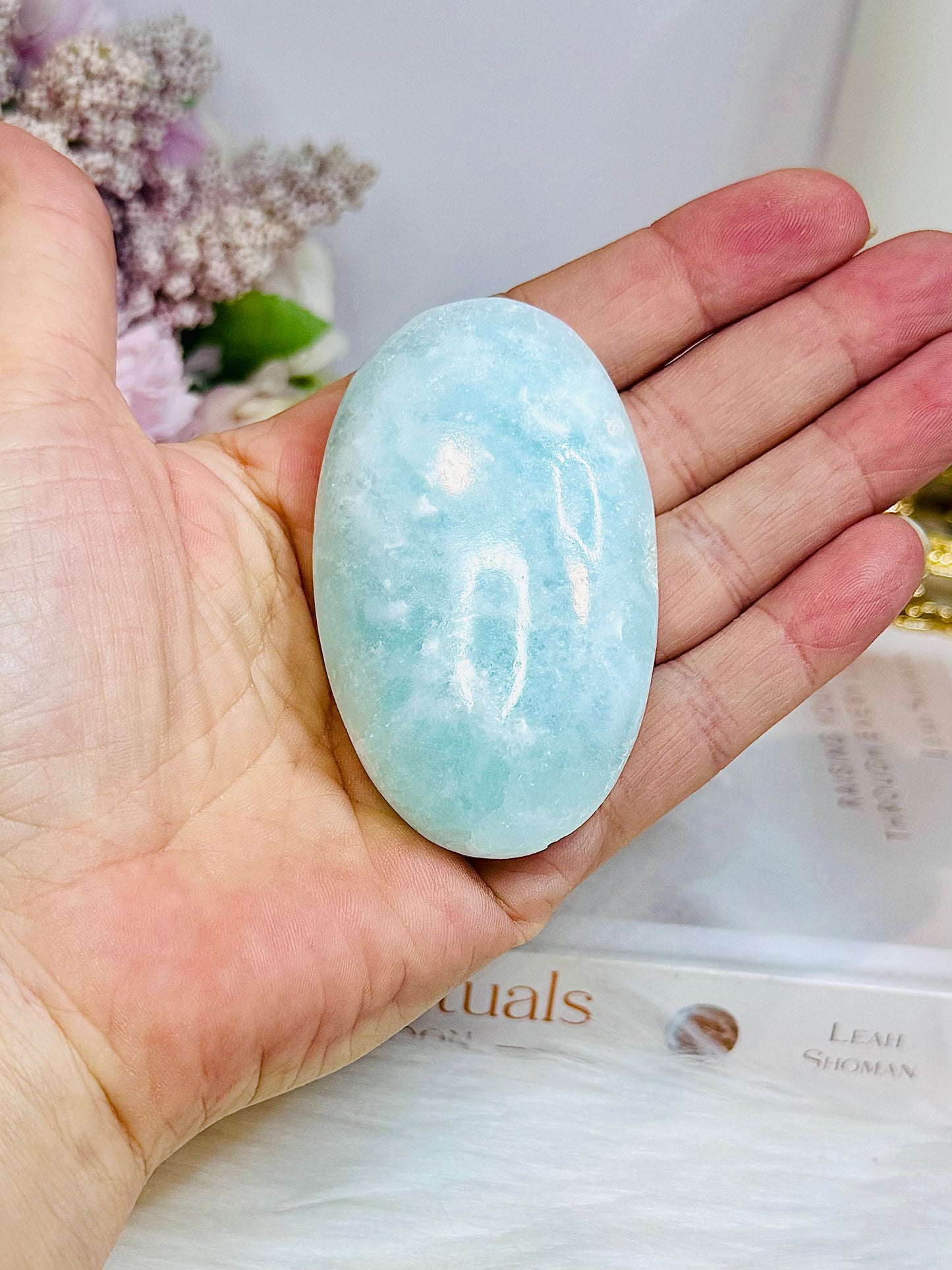 Large Caribbean Calcite Palm Stone