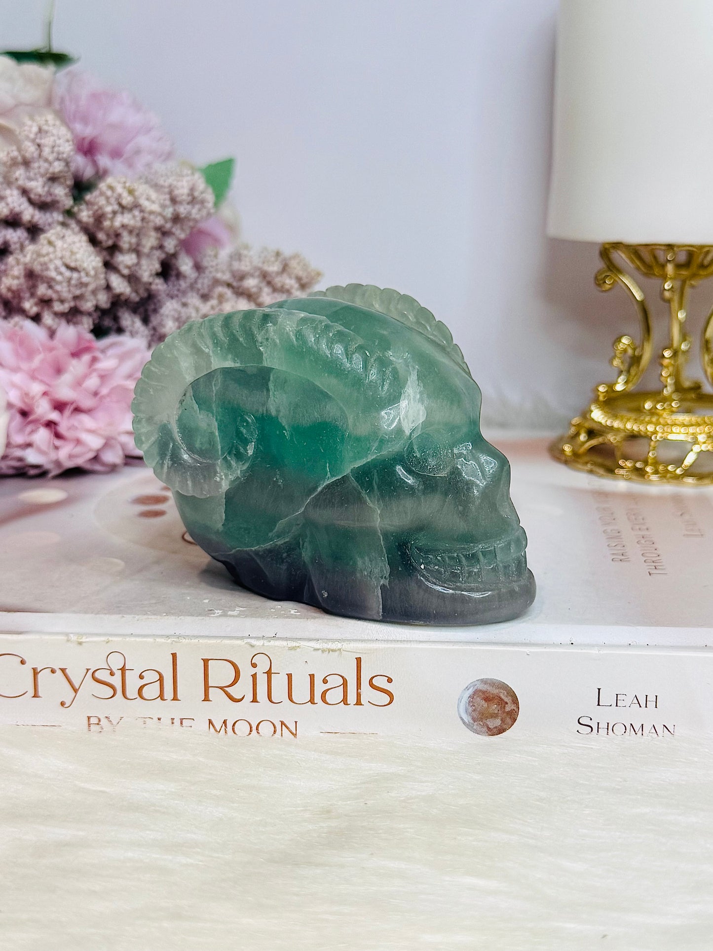 Fluorite Skull with Ram Horns 7.5cm 415g