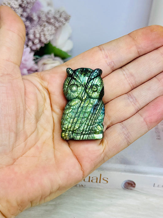 For Sue - Labradorite Carved Owl Full of Flash 5cm