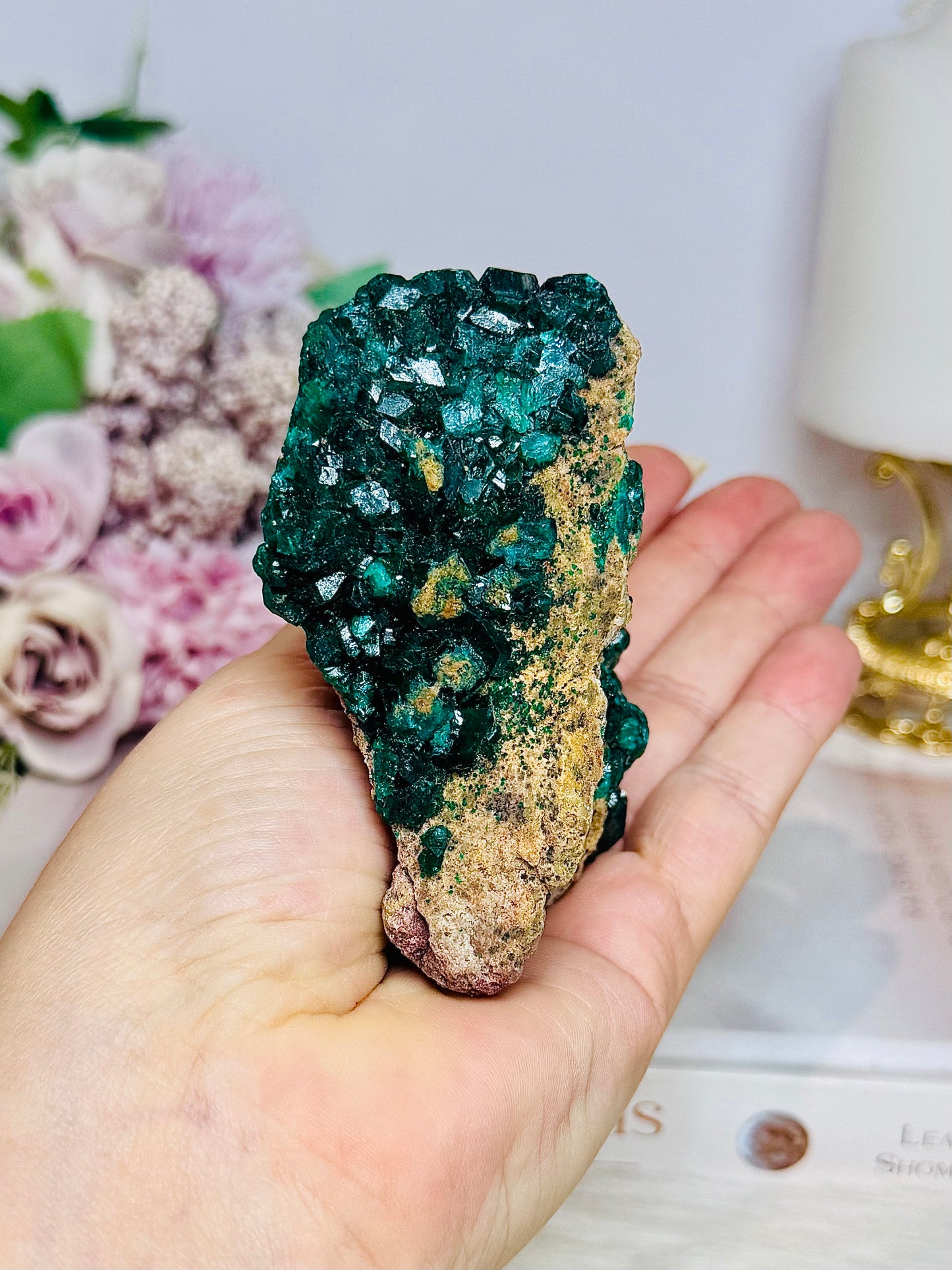 Rare Collectors Piece ~ Green Dioptase Specimen 9cm 170g
