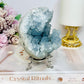 Blue Celestite Large Freeform Egg on Stand 9.5cm 720g
