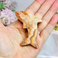 Crazy Lace Agate Carved Dolphin 7cm