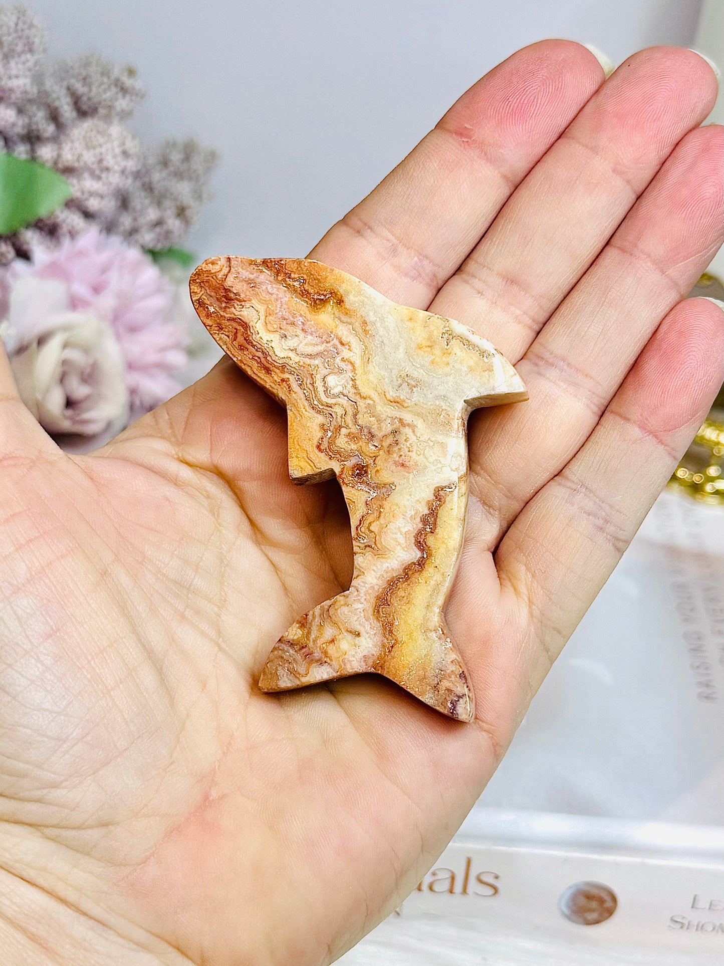 Crazy Lace Agate Carved Dolphin 7cm