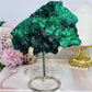 High Grade Velvet Botryoidal Malachite Natural Specimen on Stand 882g 15cm