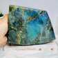 Large Labradorite Freeform Full of Flash 18cm 1.6KG