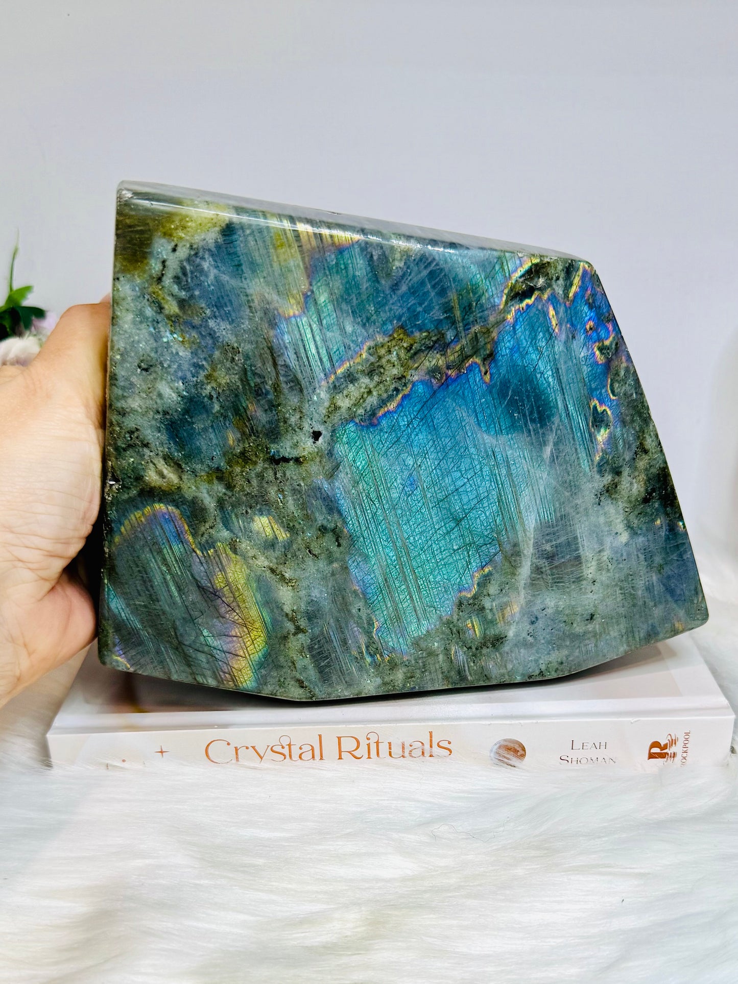 Large Labradorite Freeform Full of Flash 18cm 1.6KG