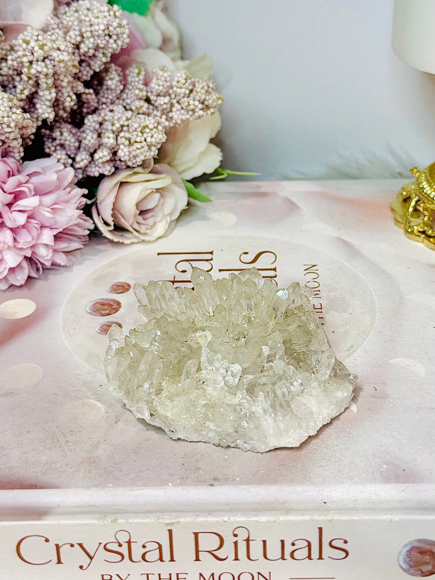 Natural Chrysanthemum Specimen 7cm