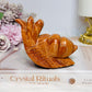 Chunky Large Orange Jasper Snail 11.5cm 296g