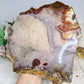 A Collectors Piece ~ High Grade Natural Pink Amethyst Druzy Slice | Slab with Gold Plating on Stand 24cm 689g