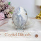 Ocean Jasper Palm Stone (stand is display only)