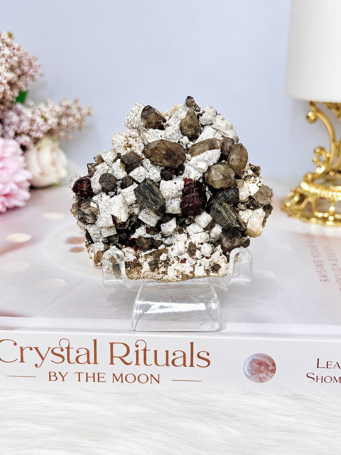 Smokey Quartz & Garnet on Matrix Specimen 6cm On Stand