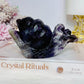 Chunky Large Chevron Amethyst Snail 11.5cm 321g