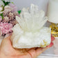 Large Clear Quartz Pineapple Lamp on Light Stand 810g