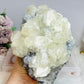 Huge Calcite Freeform on Timber Stand 1.9KG