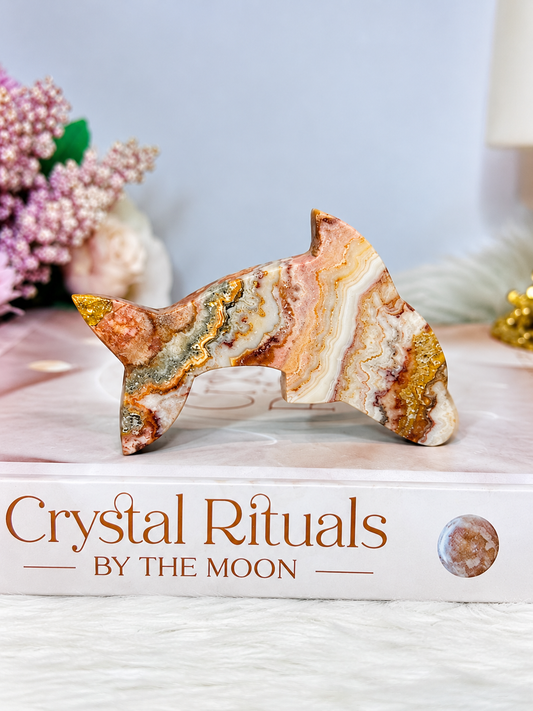 Crazy Lace Agate Carved Dolphin 7cm