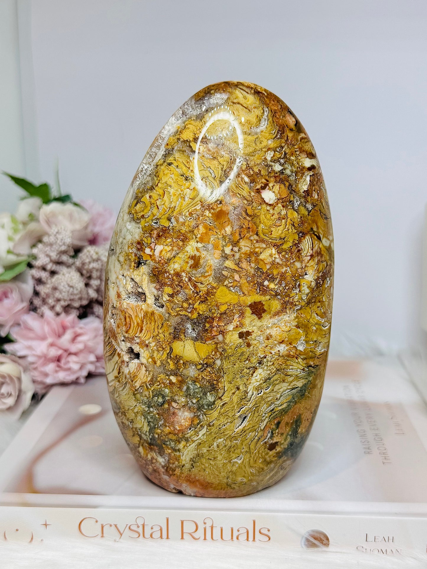 Large Ibis Jasper Carved 16cm 1.2KG Druzy Freeform