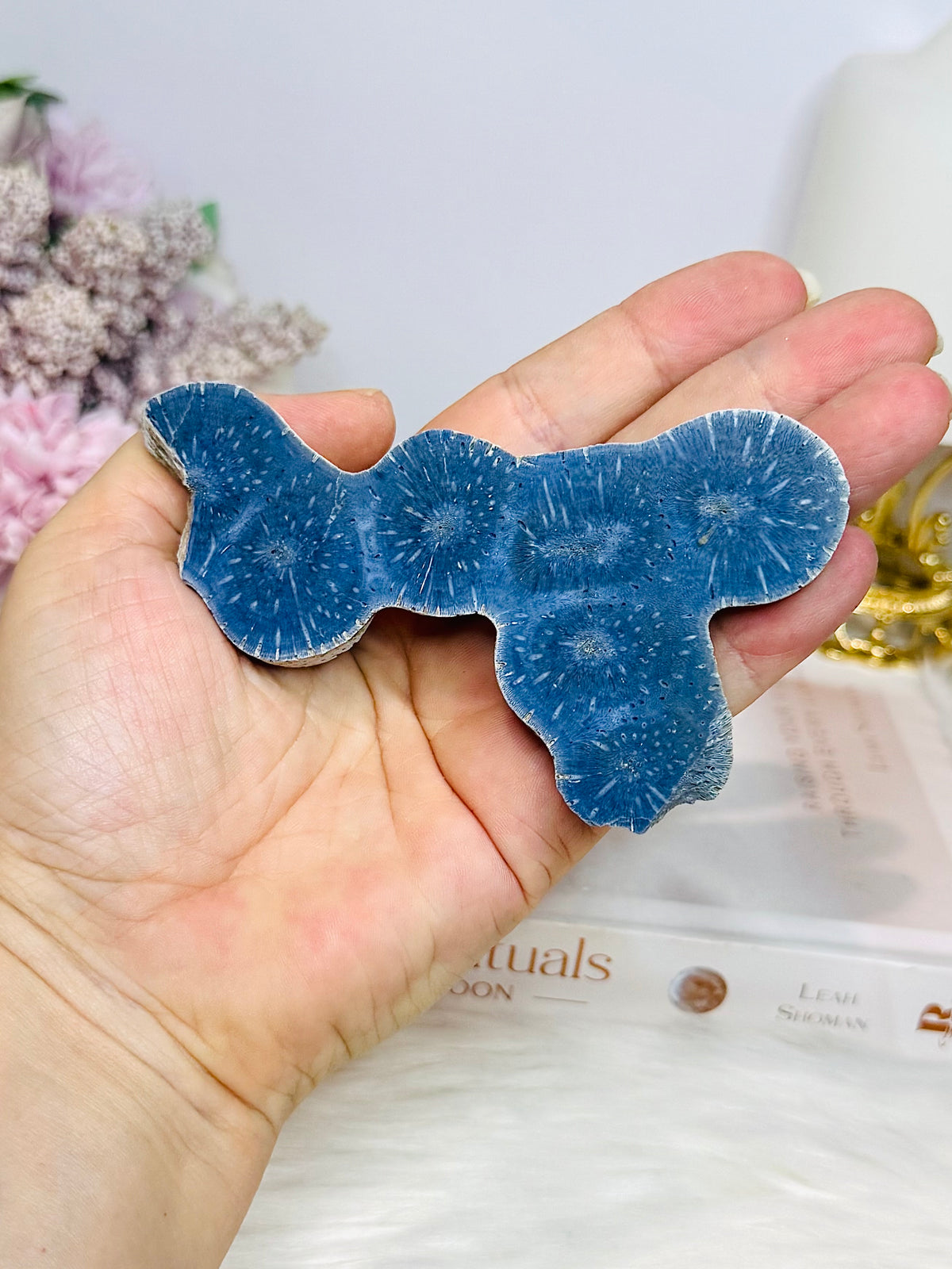 Blue Coral Fossil Specimen 11cm