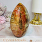 Large Petrified Wood Freeform 11.5cm 710g