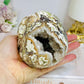 Large Money Agate Druzy Skull 751g