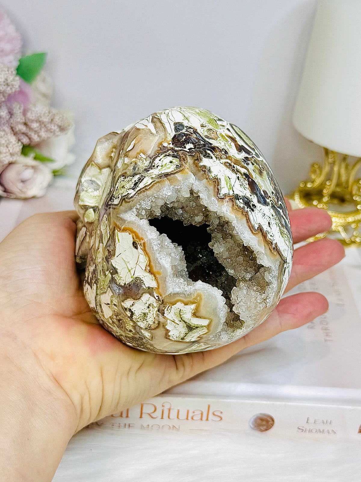 Large Money Agate Druzy Skull 751g