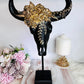 Large 33cm Black & Gold Cow Skull On Stand