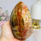 Large Petrified Wood Freeform 11.5cm 710g