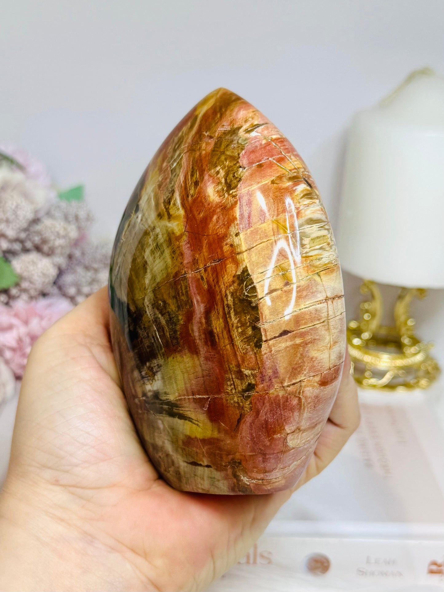 Large Petrified Wood Freeform 11.5cm 710g