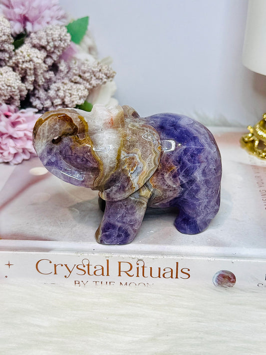 Amethyst X Mexican Lace Agate Elephant 11cm 408g