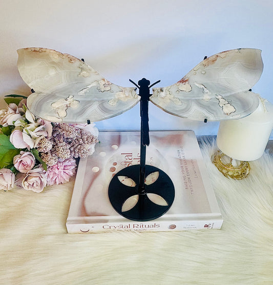 Masterpiece!!! Huge 27cm x 22cm Flower Agate Dragonfly Wings on Stand ~ Just Divine