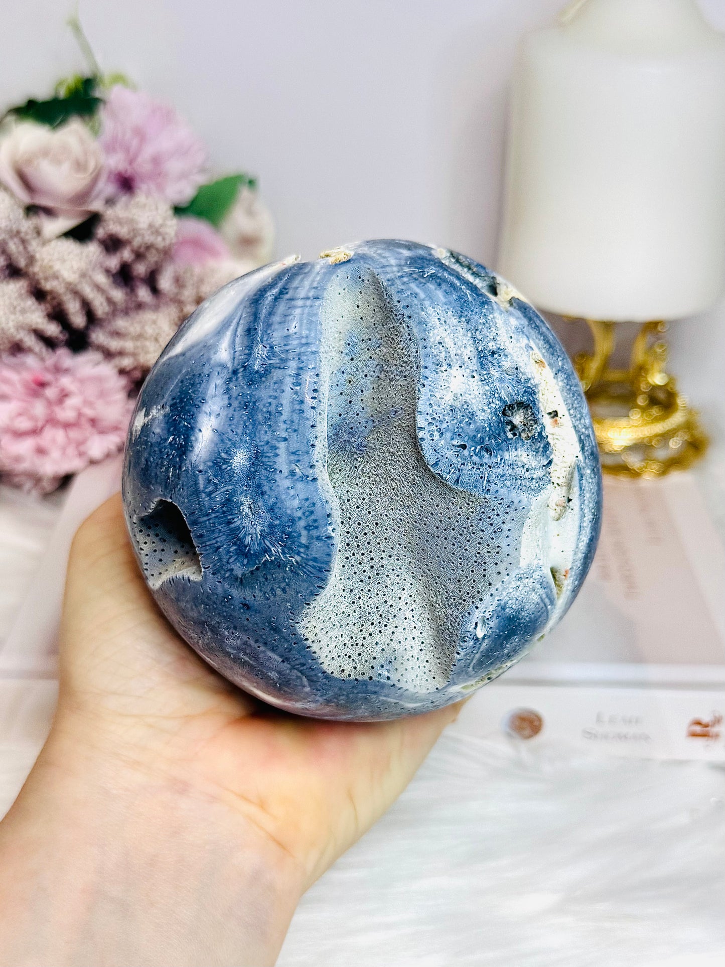 Natural Blue Coral Fossil 824g