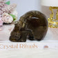 Smokey Quartz Carved Skull 373g 8.5cm