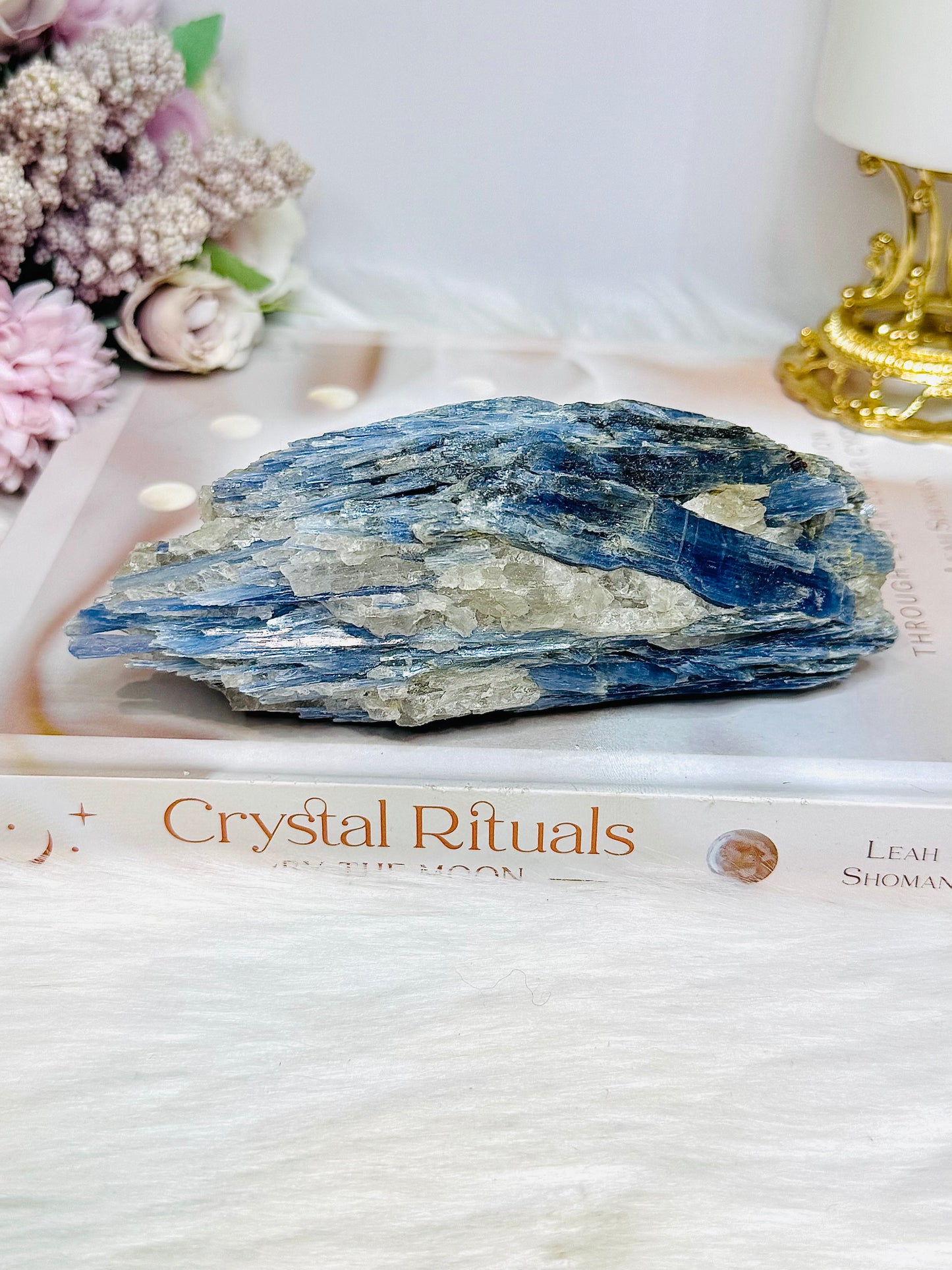 Large Blue Kyanite Freeform 459g 14cm